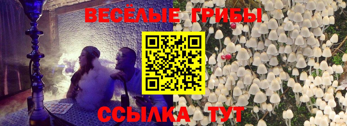 Надым  Галлюциногенные грибы Psilocybine cubensis  Вход с VPN 